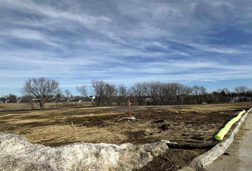 The Meadows Lot 1, West Branch, 52358, ,Lots/land,For Sale,The Meadows Lot 1,202400779